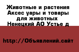 Животные и растения Аксесcуары и товары для животных. Ненецкий АО,Устье д.